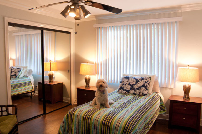 Studios For Rent Under $700 In Orange County Pet Friendly: Complete Guide & Key Details